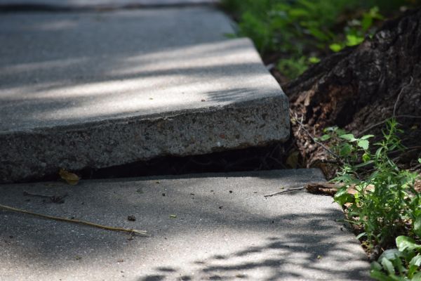 Cost of Sidewalk Leveling in Marion